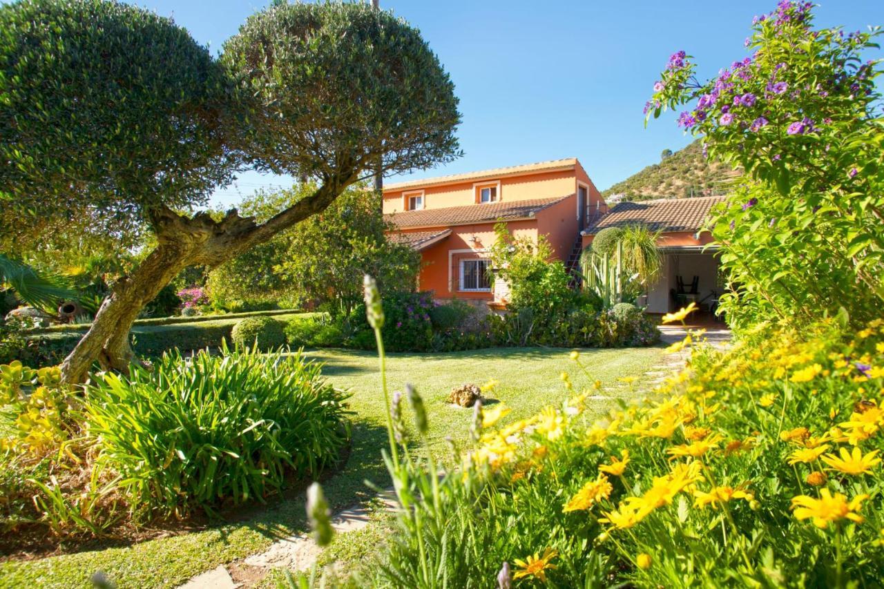 Casa Rural Los Ninos อัลโกโดนาเลส ภายนอก รูปภาพ